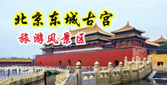 黄色毛片男人的大鸡巴插到女人的大花逼里头操逼尿尿视频中国北京-东城古宫旅游风景区